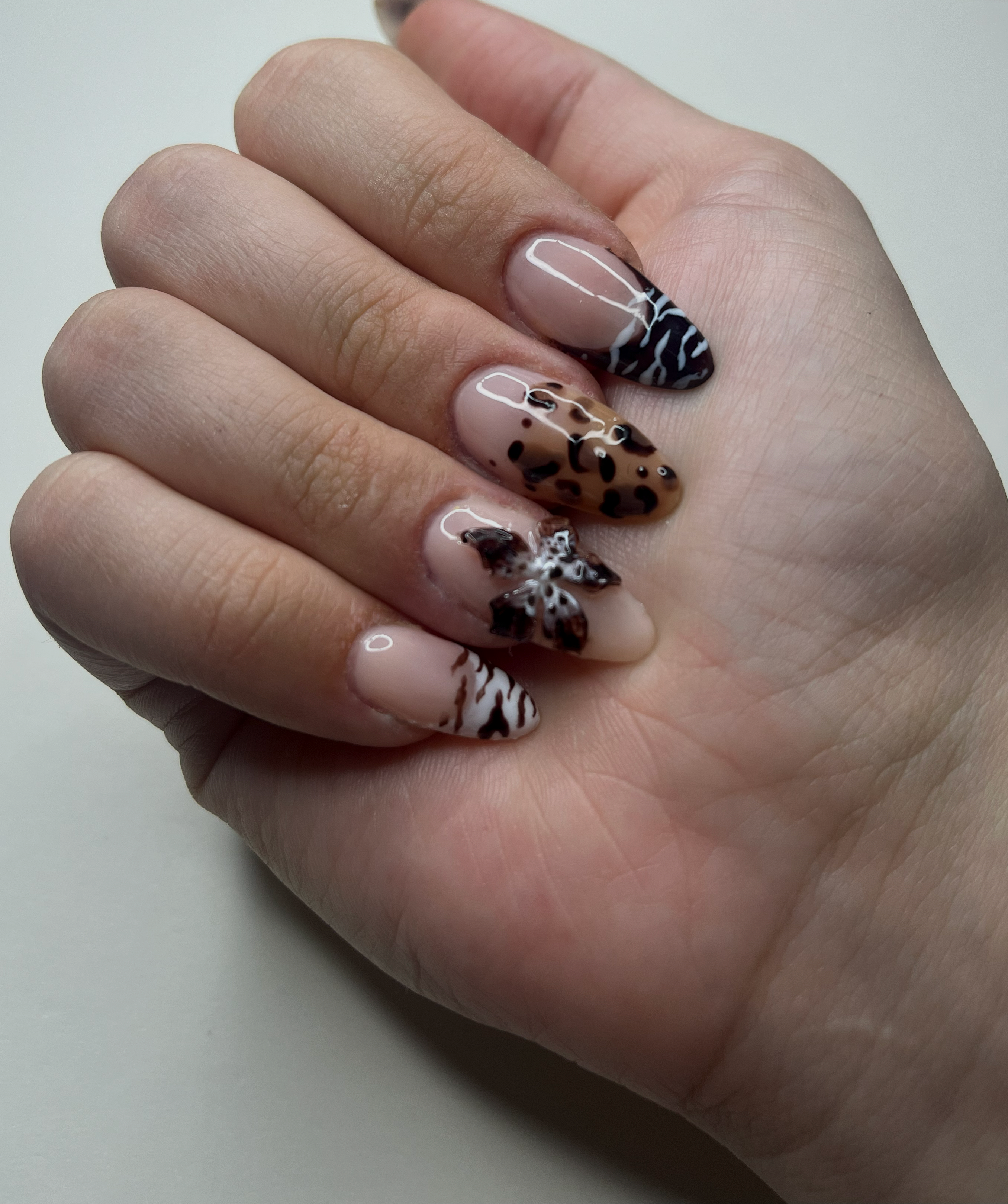Safari Tour